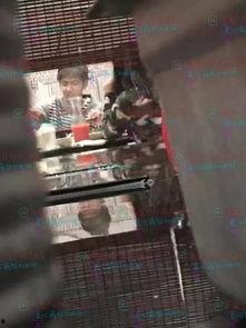 火锅店最新爆料视频,独家揭秘后厨操作与食材来源  第2张